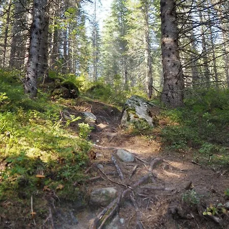 Sylte * Fauske