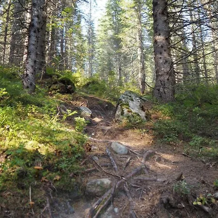 Heimen Capsule * Fauske